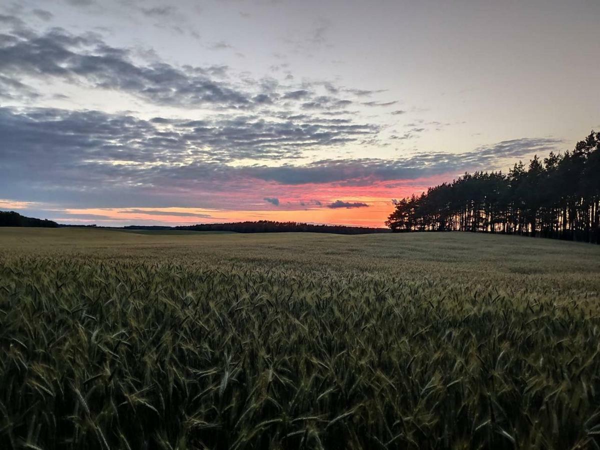 Stawy U Sikory - Dom Rybak - Agroturystyka I Lowisko Nowa Wies  Bagian luar foto