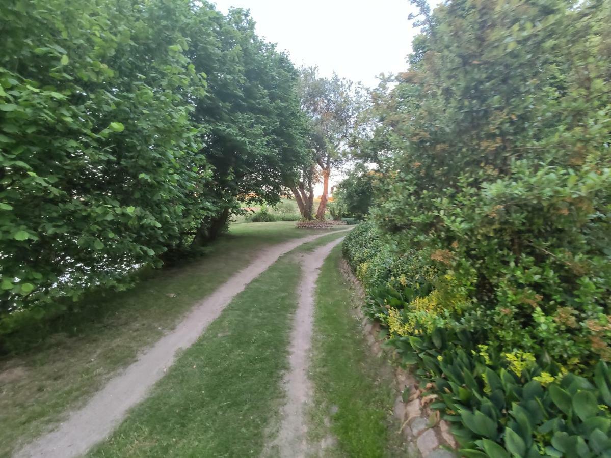 Stawy U Sikory - Dom Rybak - Agroturystyka I Lowisko Nowa Wies  Bagian luar foto