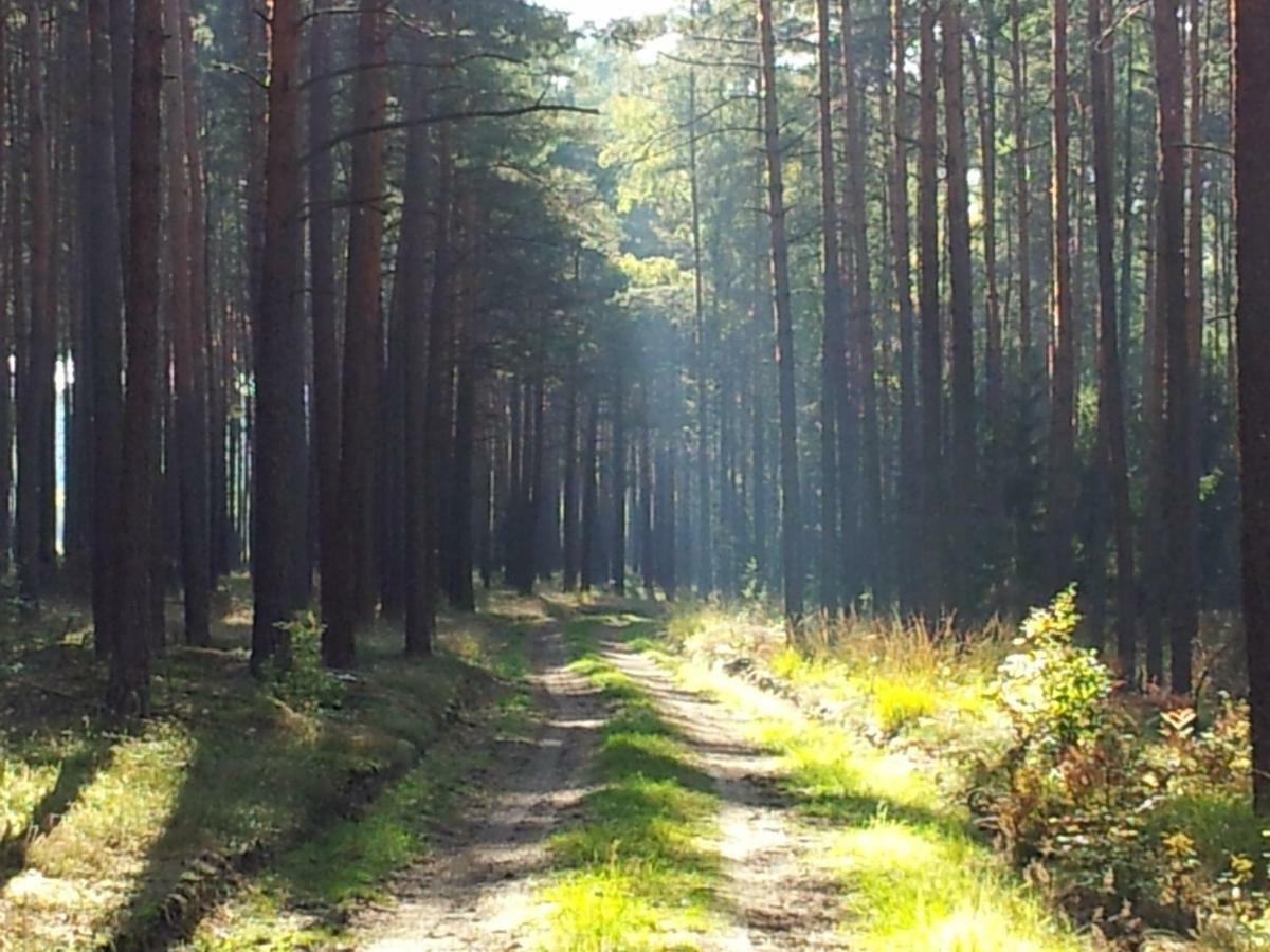 Stawy U Sikory - Dom Rybak - Agroturystyka I Lowisko Nowa Wies  Bagian luar foto